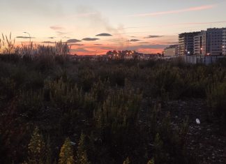 Reclamamos el acondicionamiento de la parte pendiente de los terrenos de El Solarón