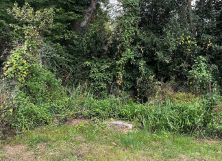 Reclamamos la recuperación de la fuente y el lavadero de Cefontes, como reivindican los vecinos