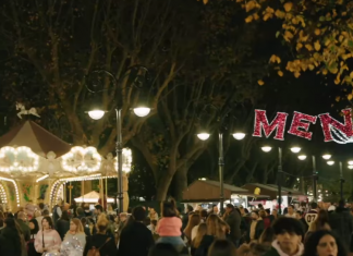 Olaya Suárez: “El gobierno de coalición es Foro, PP y Otea”